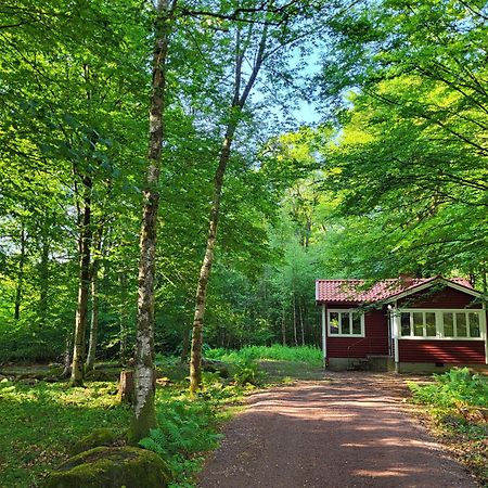 Villa Ormanaesgardens Stugby Höör Exterior foto